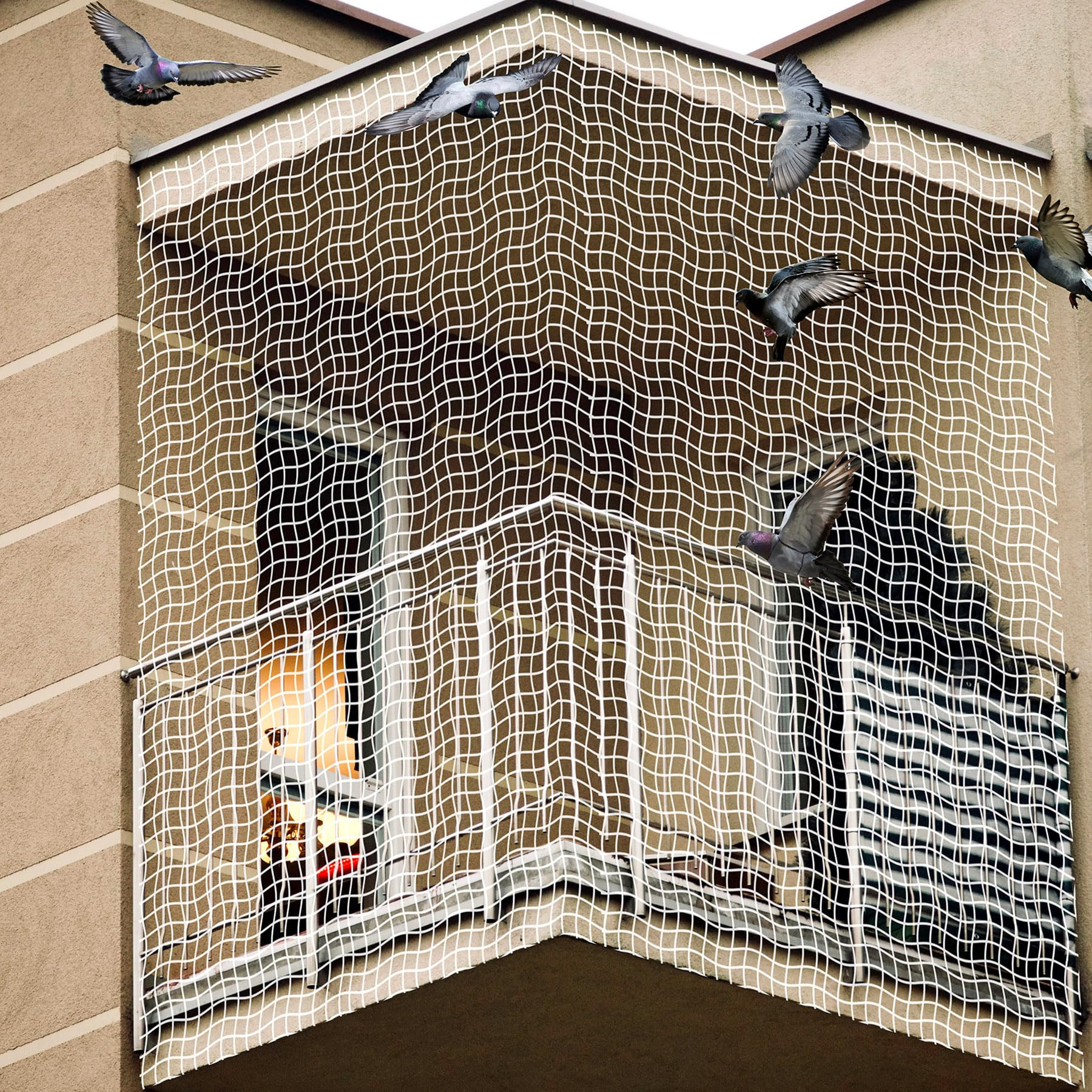 Bird Net Installation